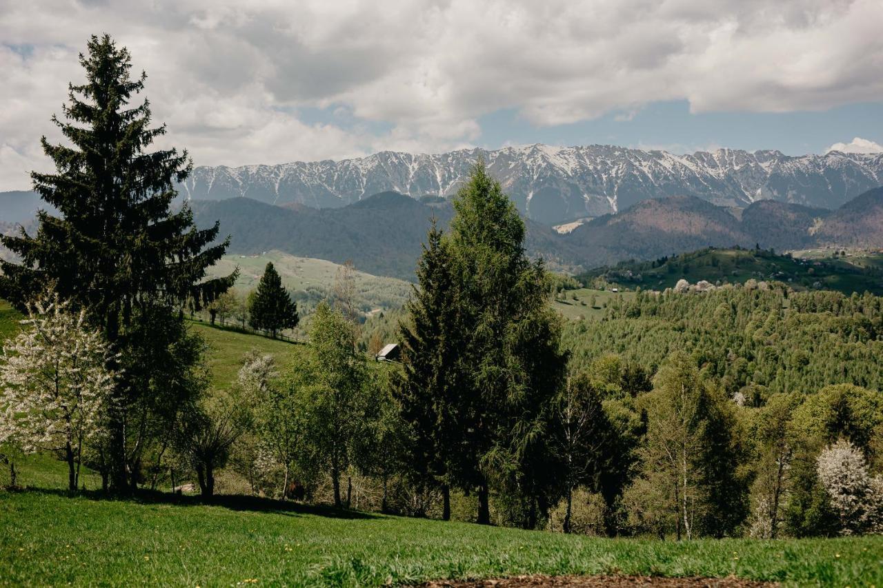 Silver Mountain B12 Poiana Brasov Exterior foto